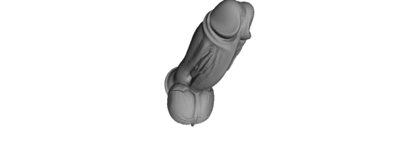 Realistic Dildo STL file Dick 3D model